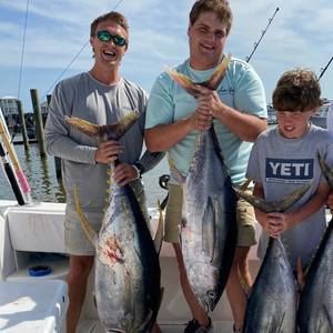 Meet your Posher, Dylan